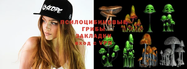 гидропоника Елабуга