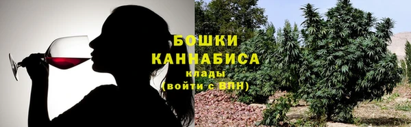 гидропоника Елабуга