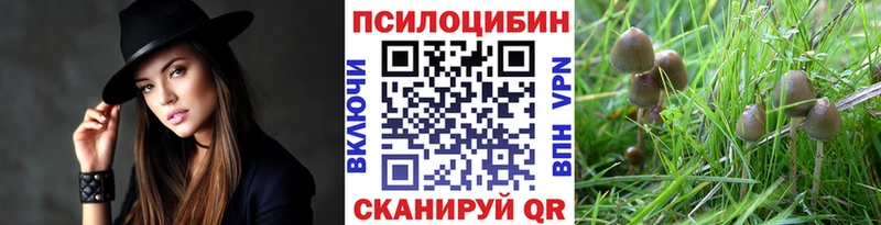 Псилоцибиновые грибы мицелий  Купить  Оха 